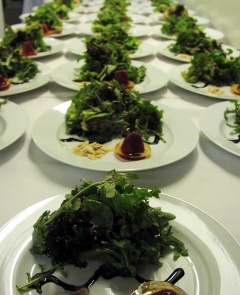 salad-plates